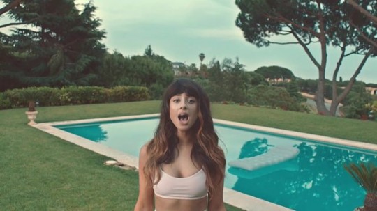 foxes-by-a-pool-in-glorious-video