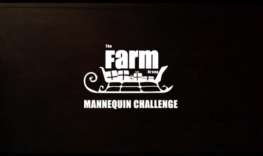 farm group- mannequin challenge lit